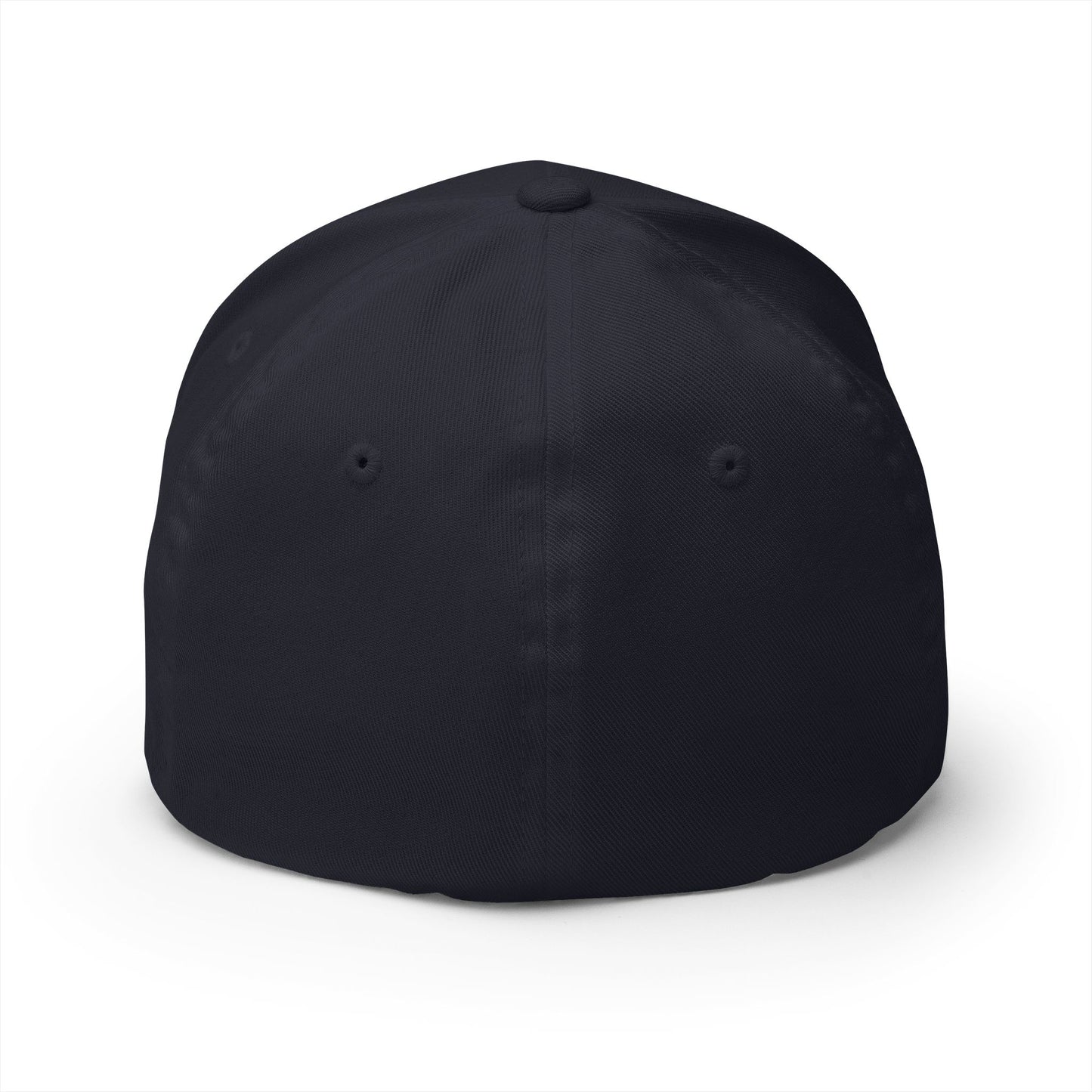 No Riding Today Cap - dark