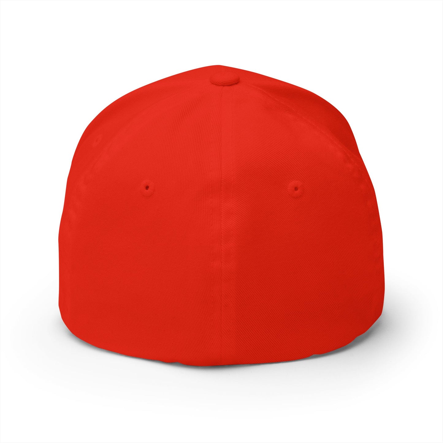 No Riding Today Cap - dark