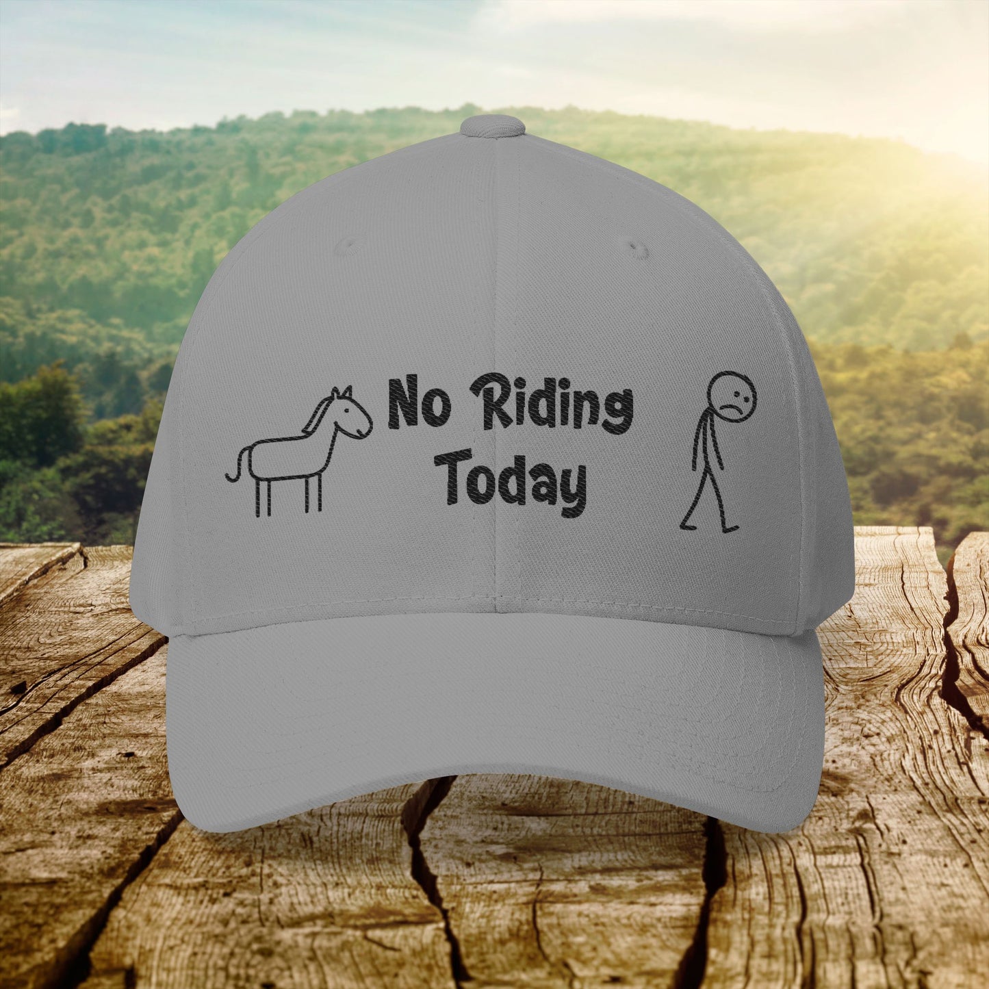 No Riding Today Cap - light