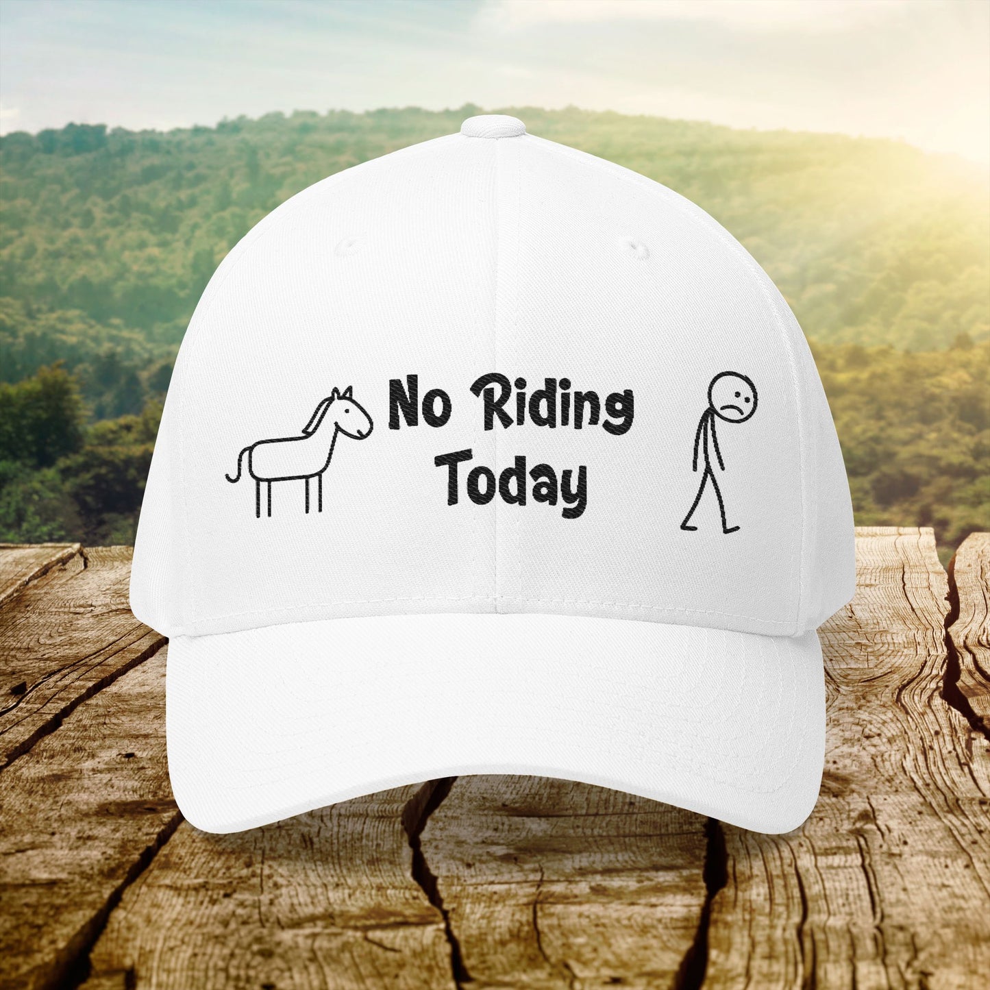 No Riding Today Cap - light