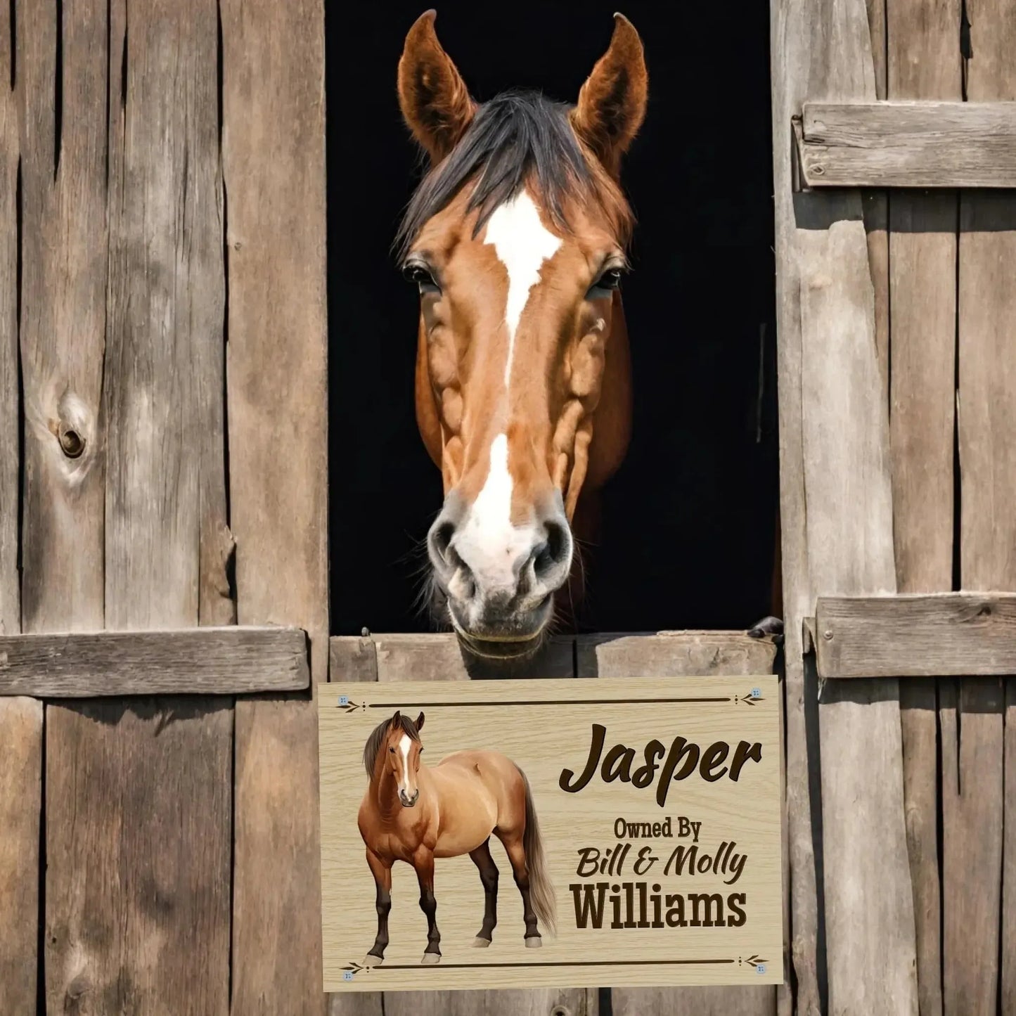 Personalized Horse with Owner - Stall Sign