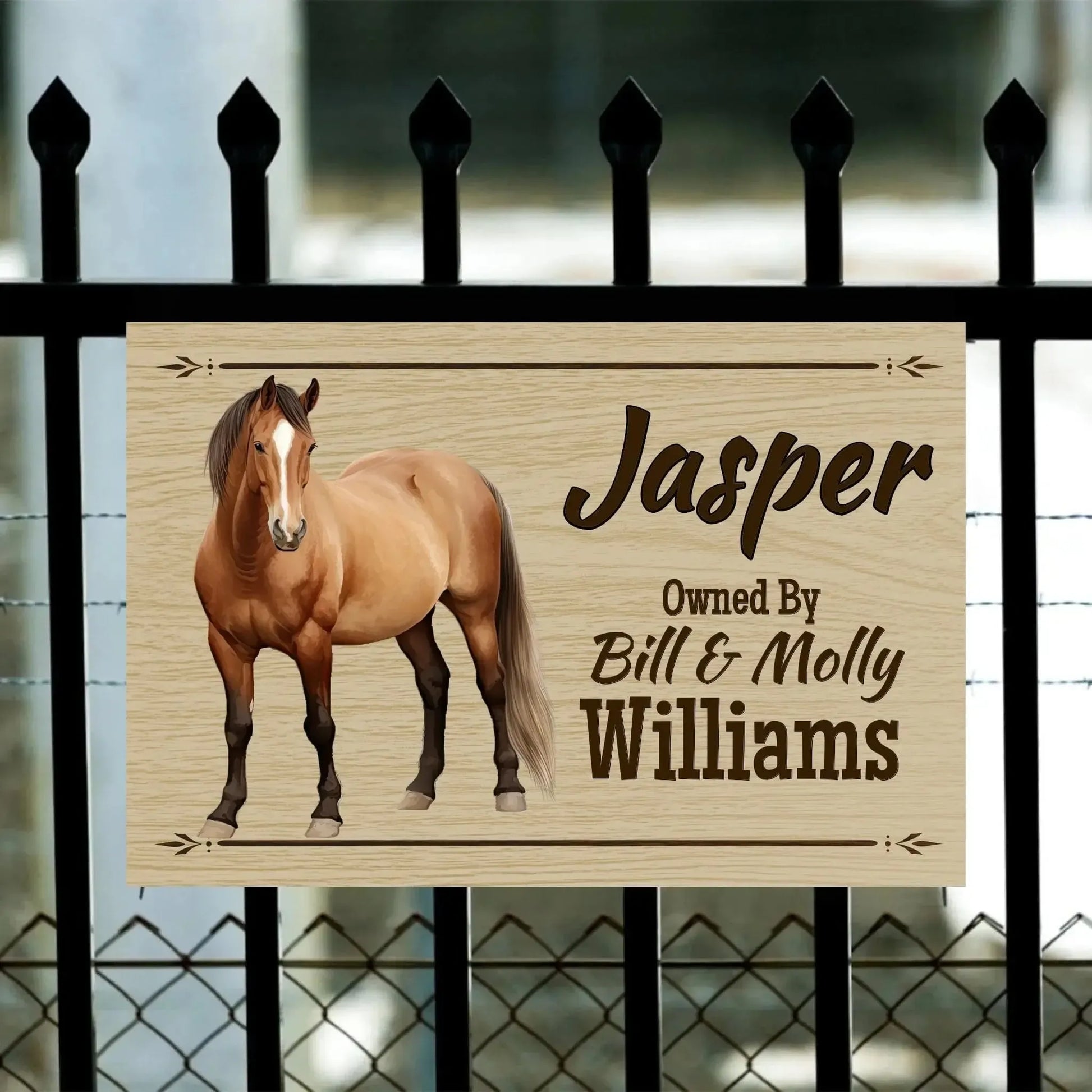 Personalized Horse with Owner - Stall Sign