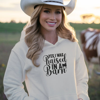 Raised In A Barn Hoodie