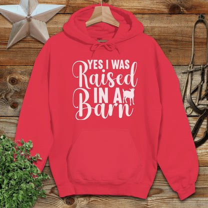 Raised In A Barn Hoodie