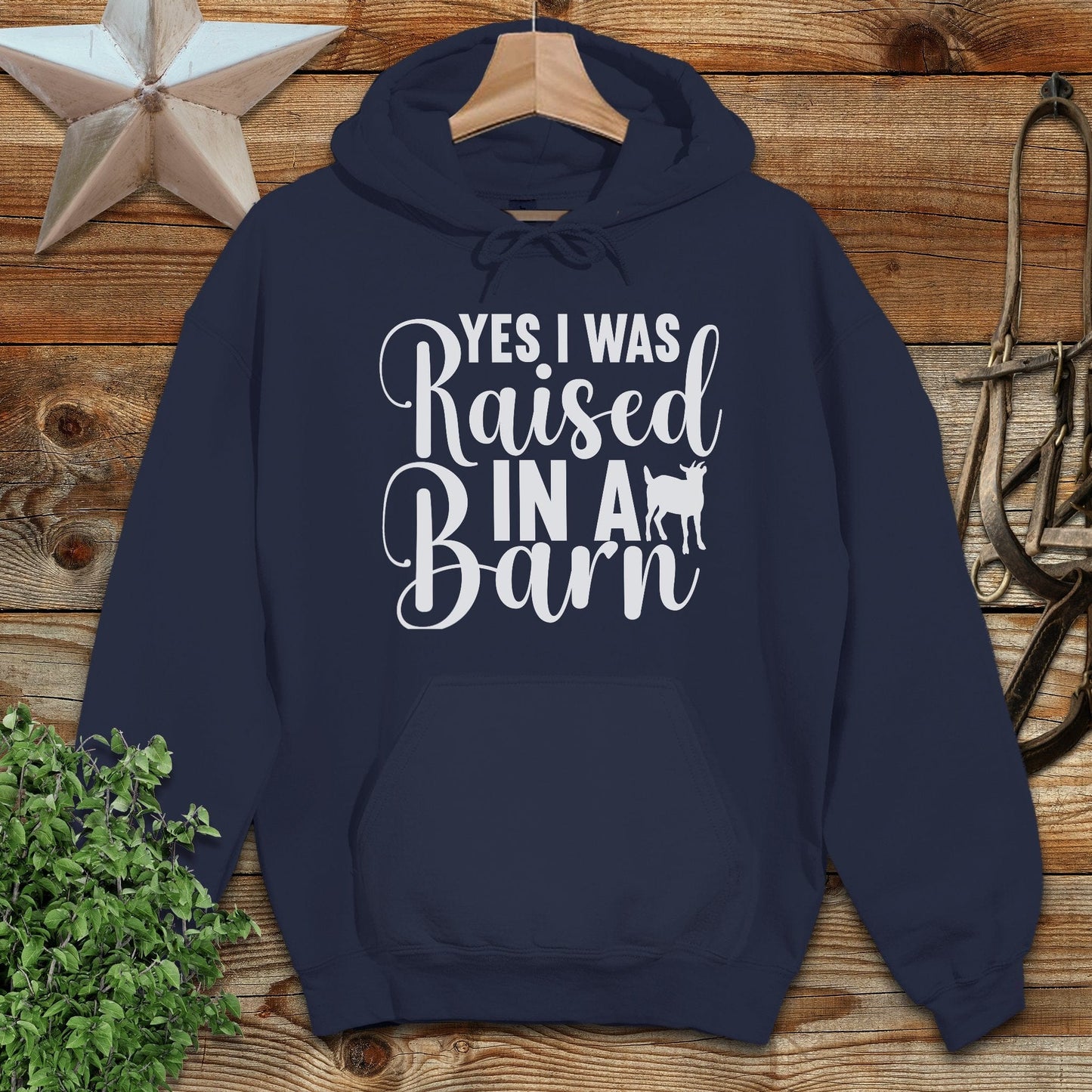 Raised In A Barn Hoodie