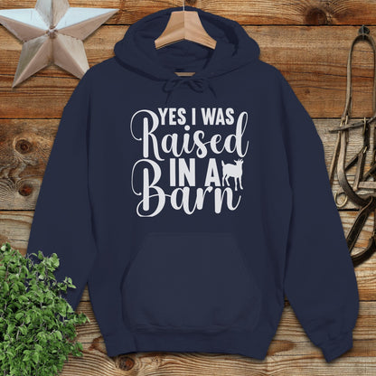 Raised In A Barn Hoodie
