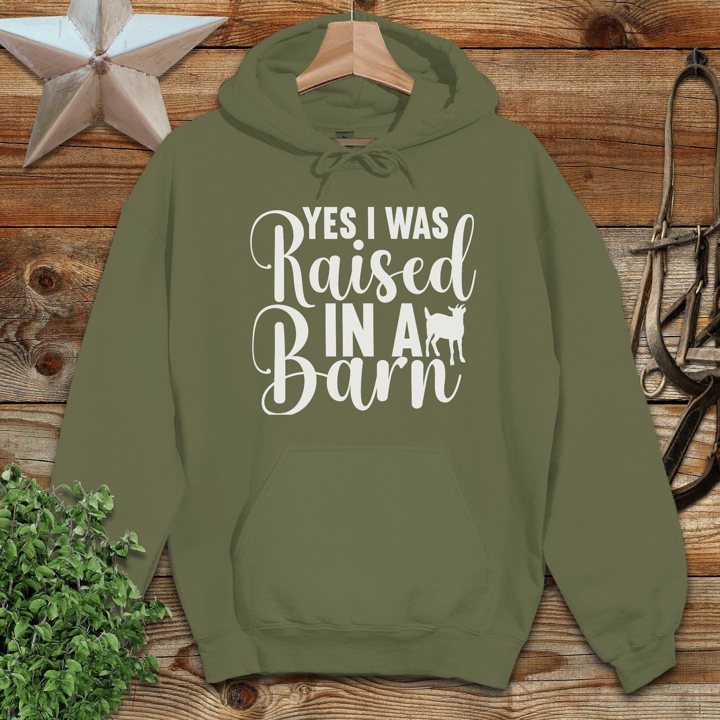Raised In A Barn Hoodie