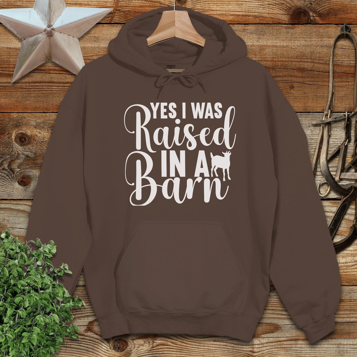 Raised In A Barn Hoodie