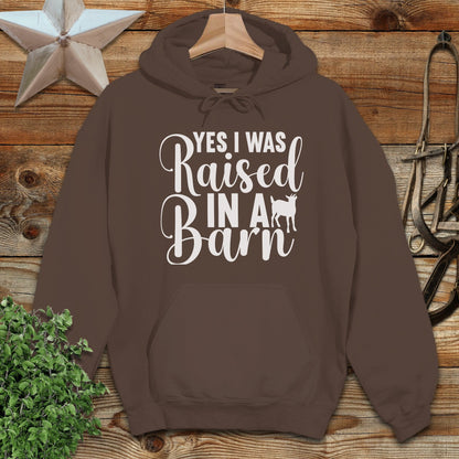 Raised In A Barn Hoodie