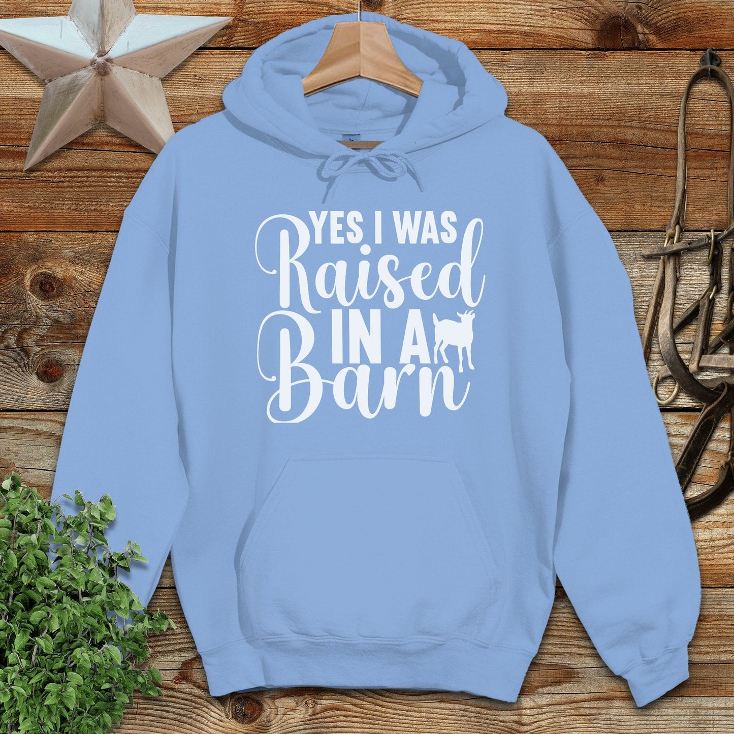 Raised In A Barn Hoodie