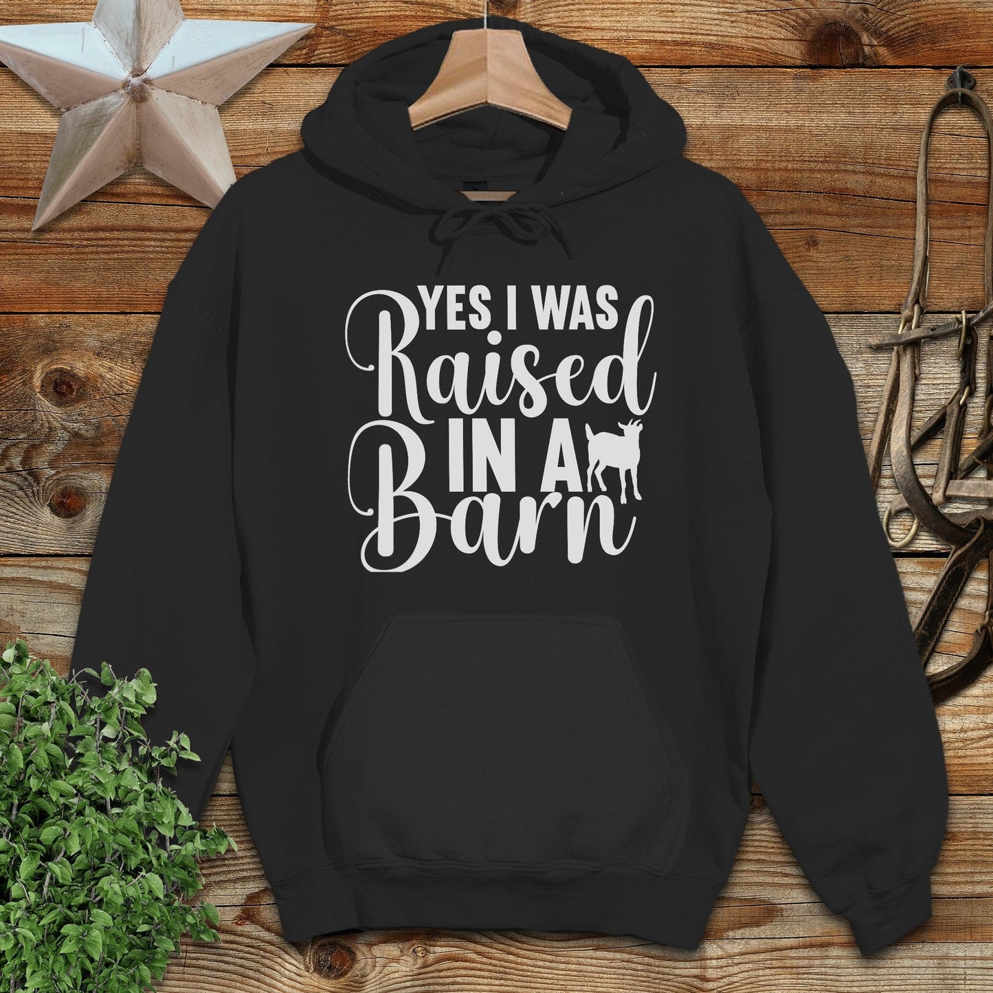 Raised In A Barn Hoodie