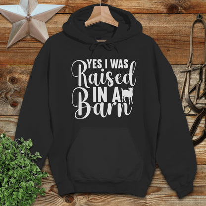 Raised In A Barn Hoodie
