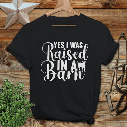 Raised In A Barn Softstyle Tee