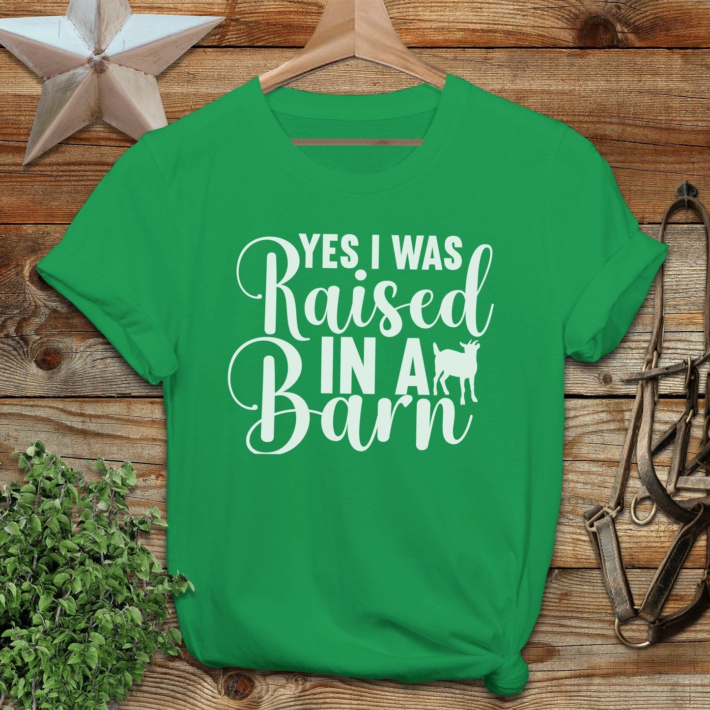 Raised In A Barn Softstyle Tee