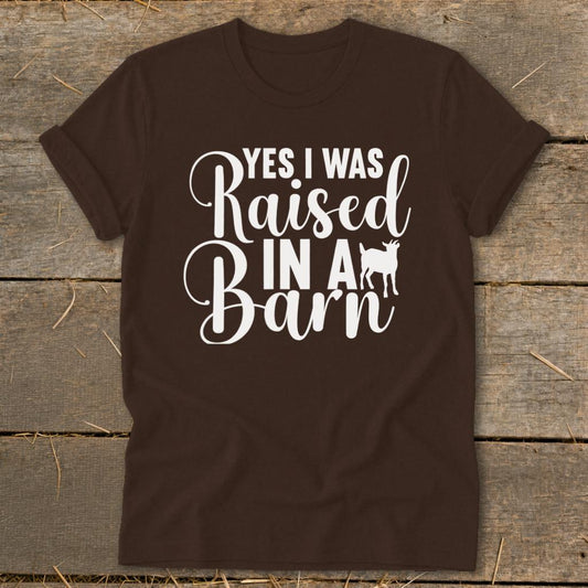 Raised In A Barn Softstyle Tee - Chocolate