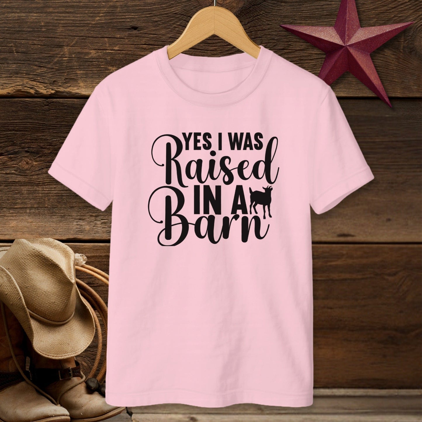 Raised In A Barn T-Shirt (Youth)