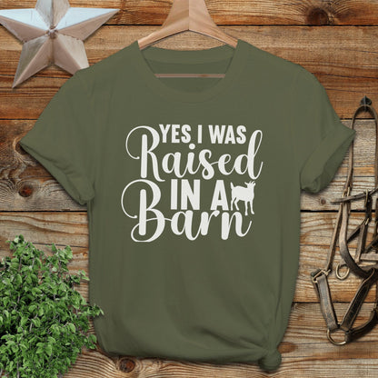 Raised In A Barn T-shirt