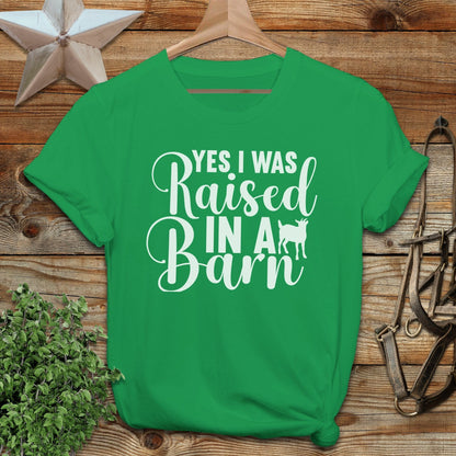 Raised In A Barn T-shirt