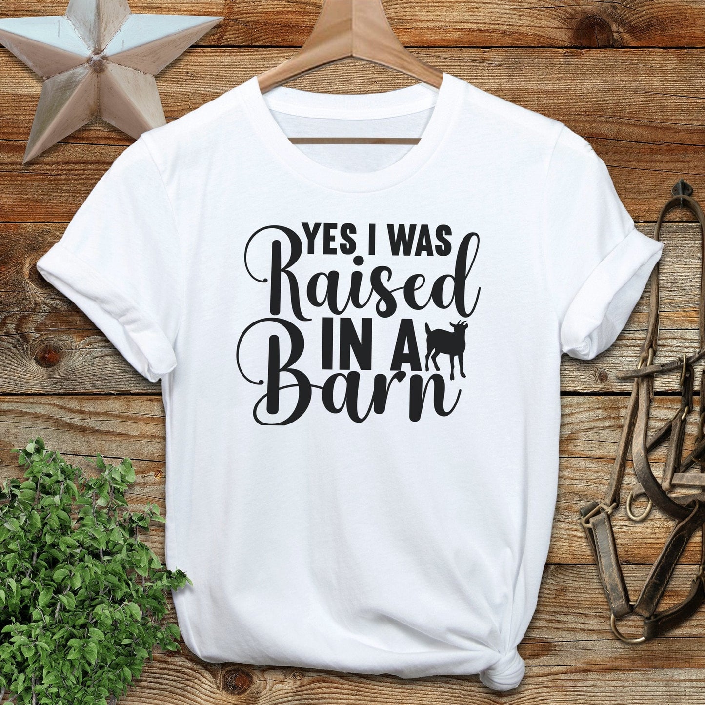 Raised In A Barn T-shirt