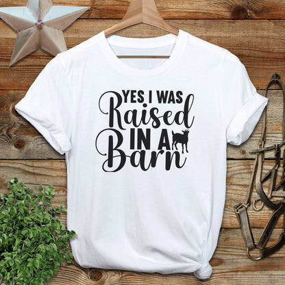 Raised In A Barn T-shirt