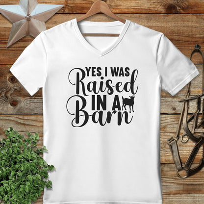 Raised In A Barn T-shirt