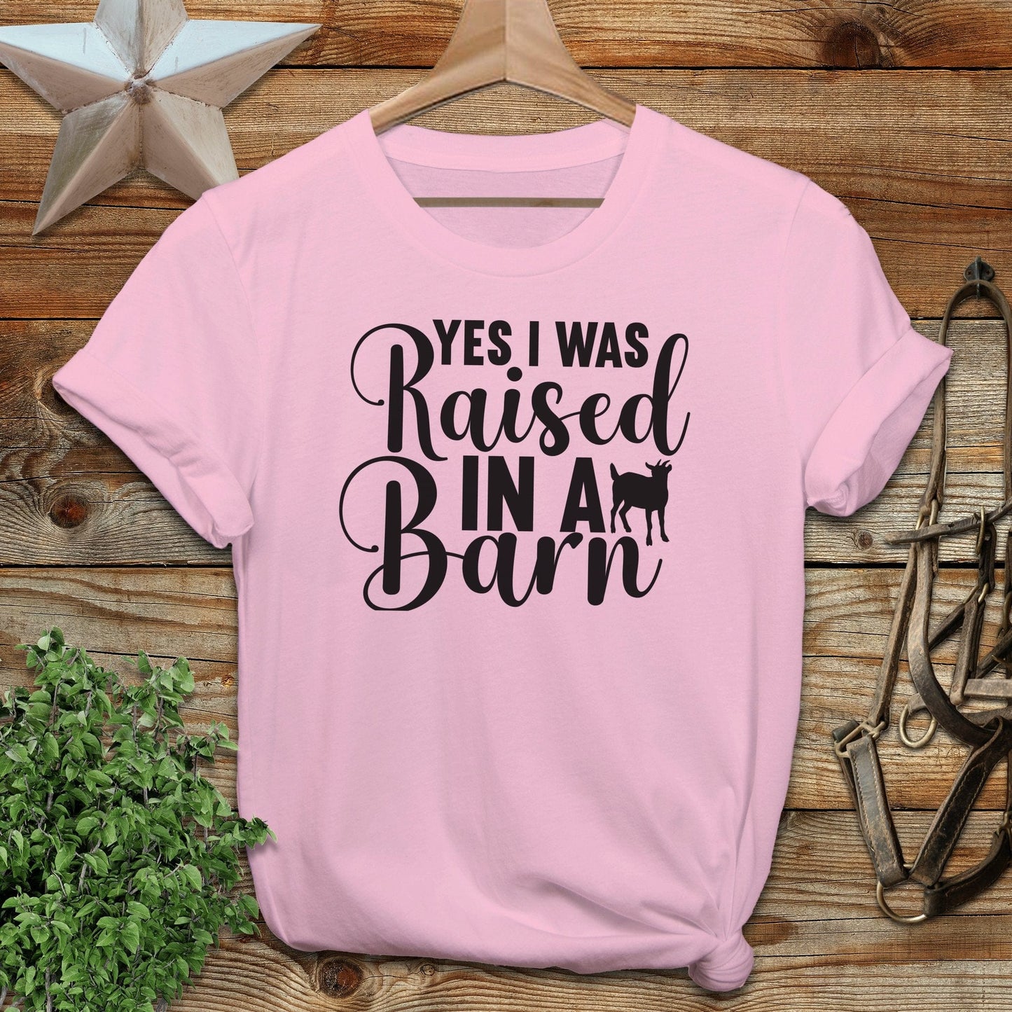 Raised In A Barn T-shirt