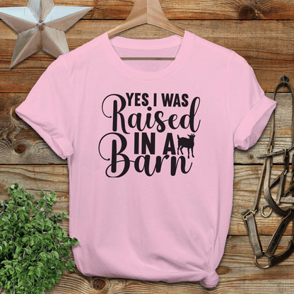 Raised In A Barn T-shirt