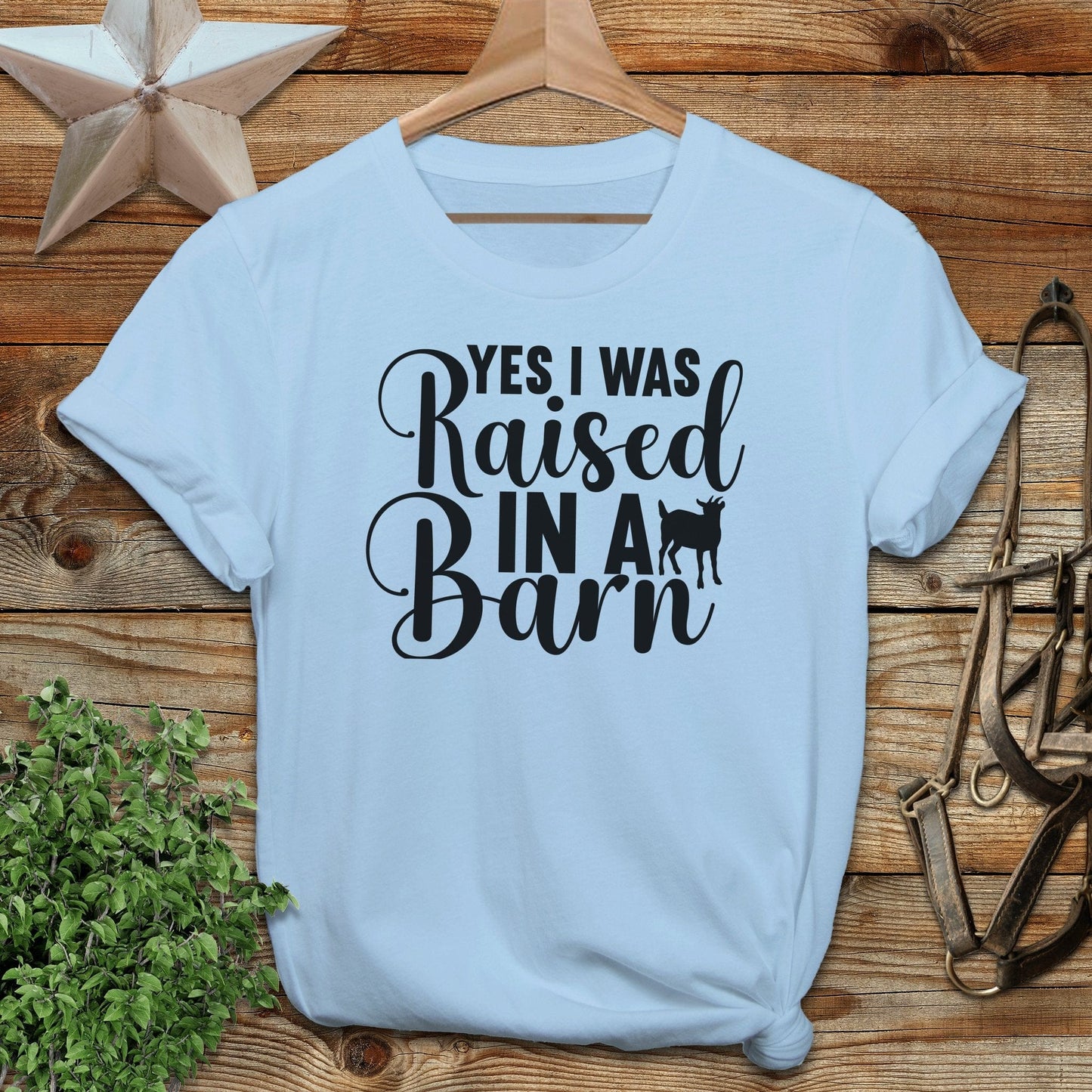 Raised In A Barn T-shirt