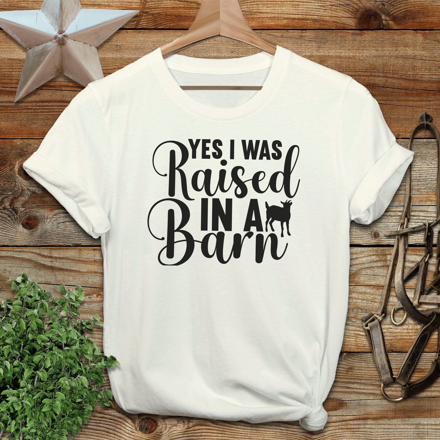 Raised In A Barn T-shirt