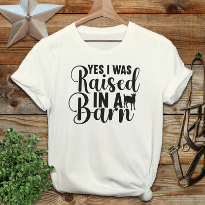 Raised In A Barn T-shirt