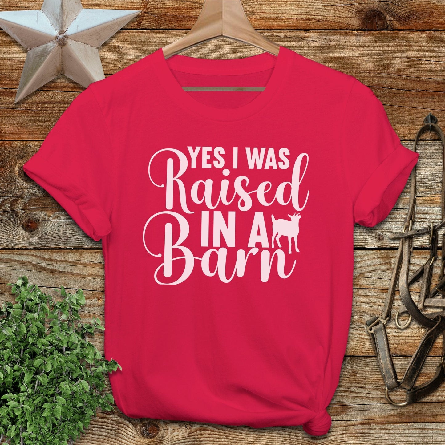 Raised In A Barn T-shirt