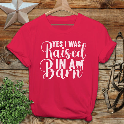 Raised In A Barn T-shirt