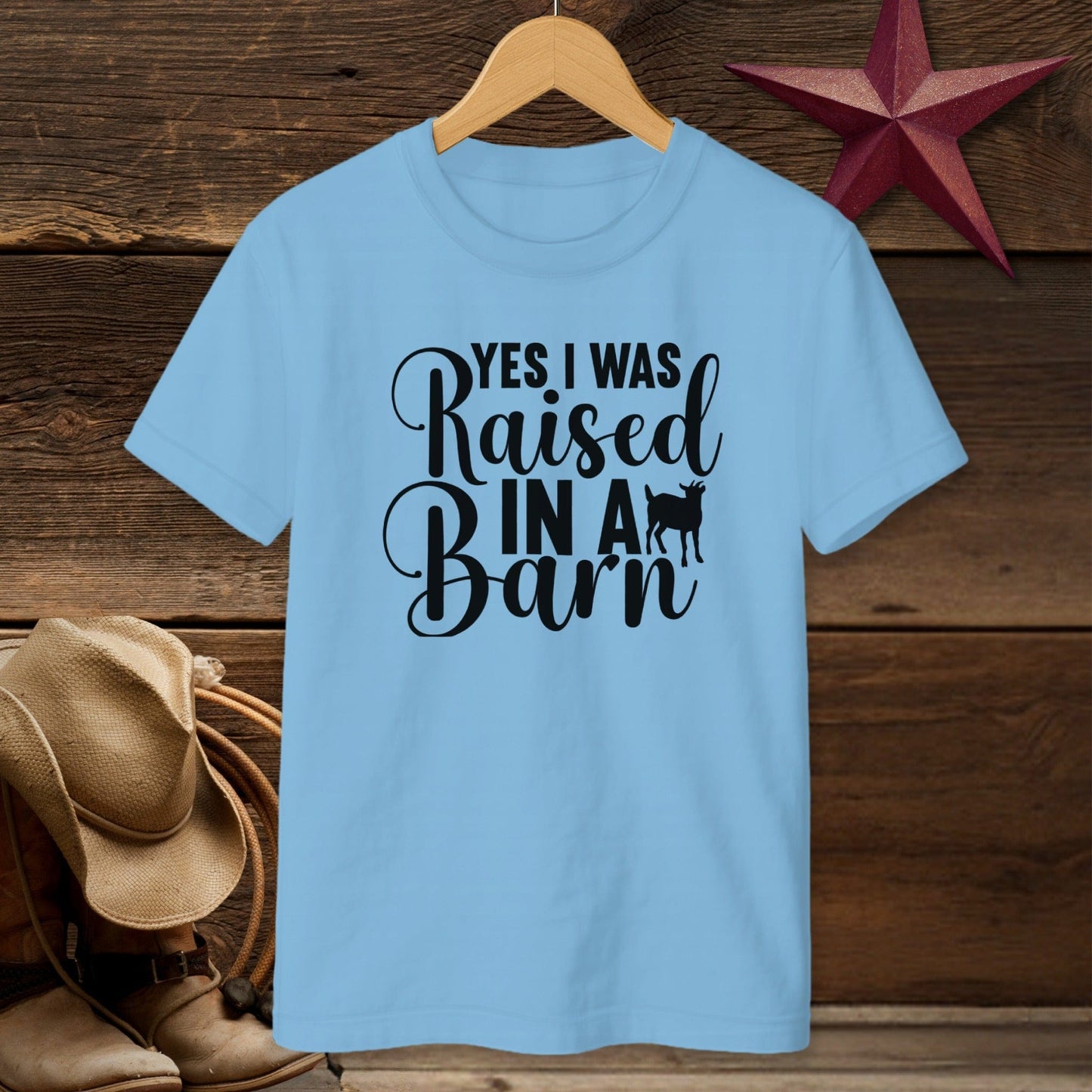 Raised In A Barn T-shirt (Youth)