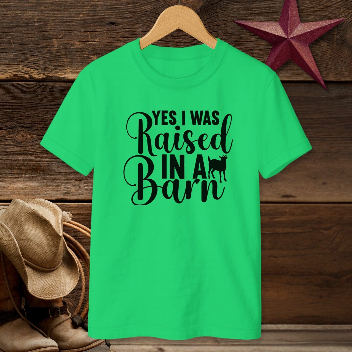 Raised In A Barn T-shirt (Youth)