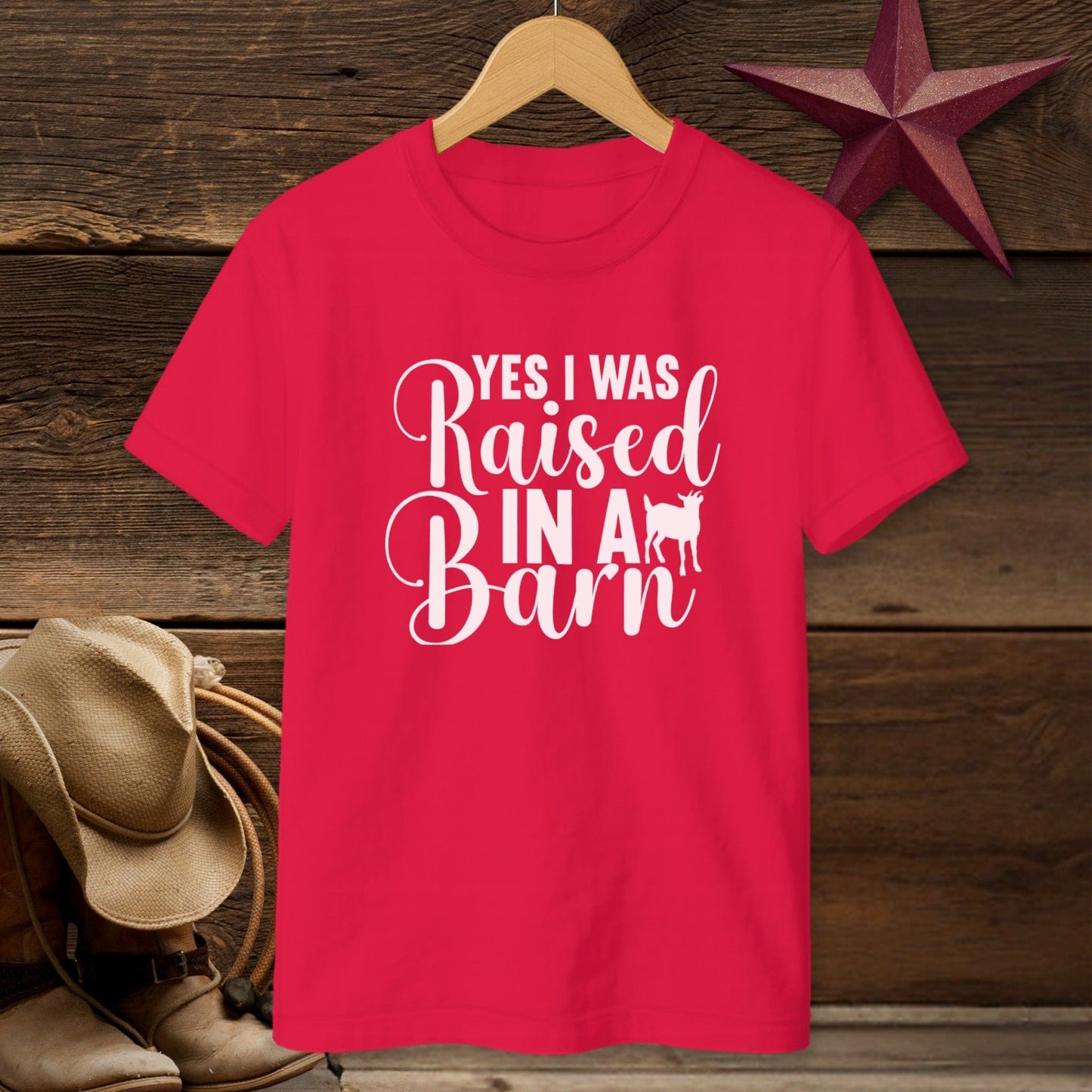 Raised In A Barn T-shirt (Youth)