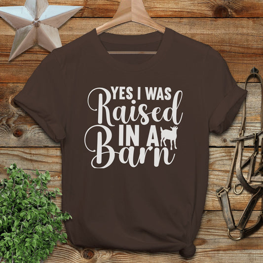 Raised In A Barn T-shirt