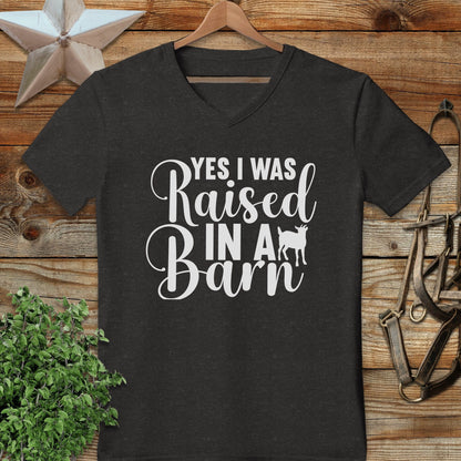 Raised In A Barn V-neck