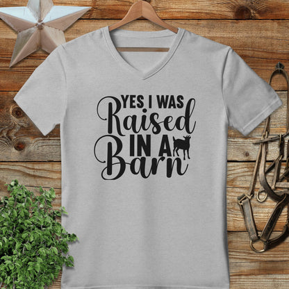 Raised In A Barn V-neck