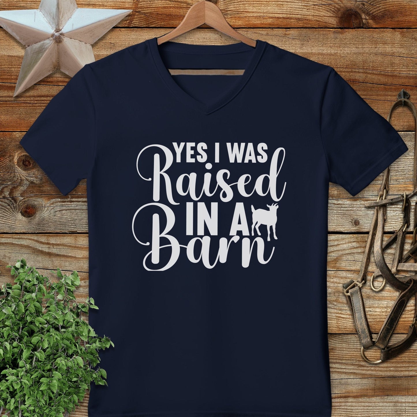Raised In A Barn V-neck