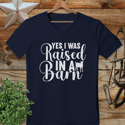 Raised In A Barn V-neck