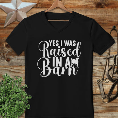 Raised In A Barn V-neck