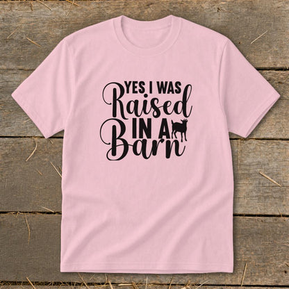 Raised In A Barn Youth Tee