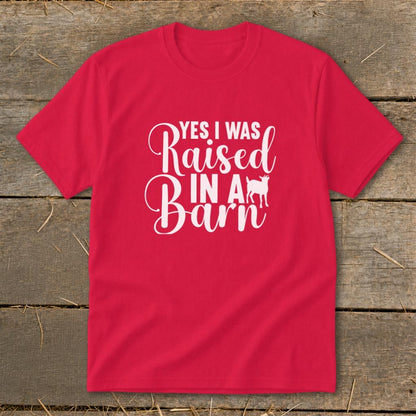 Raised In A Barn Youth Tee