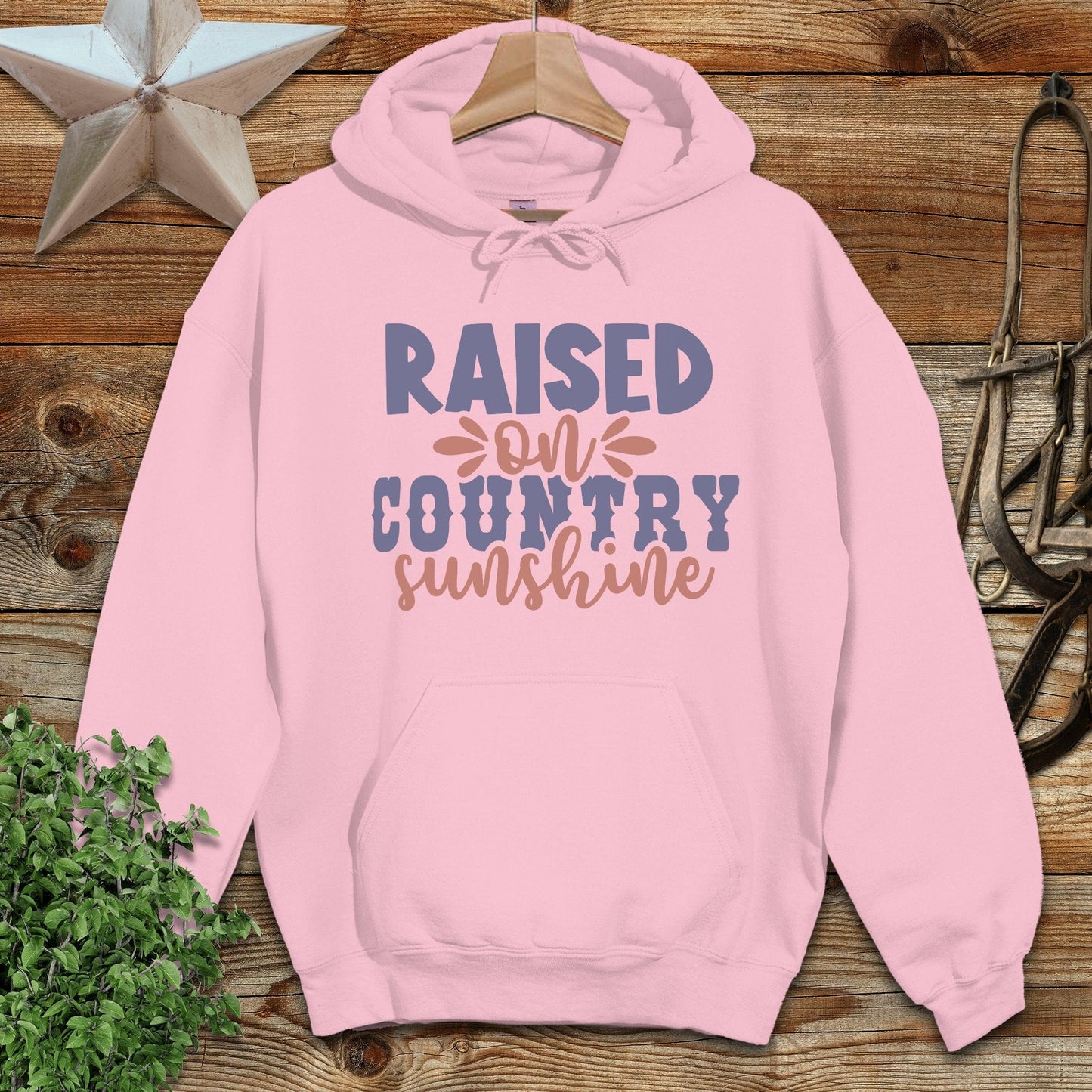 Raised on Country Hoodie