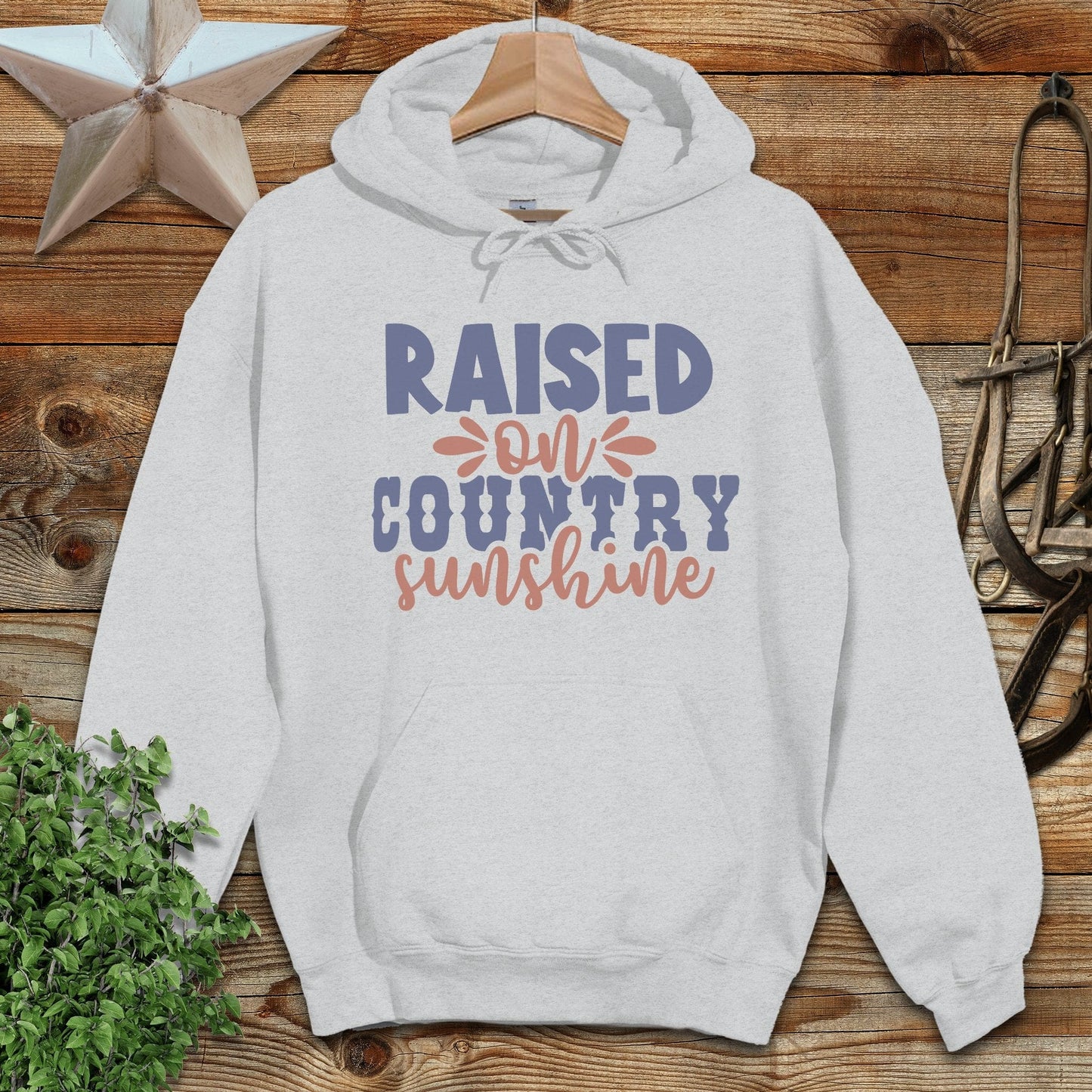 Raised on Country Hoodie