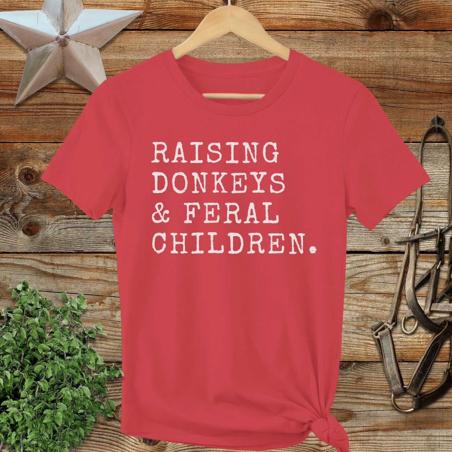 Raising Donkeys & Feral Children Ladies Tee