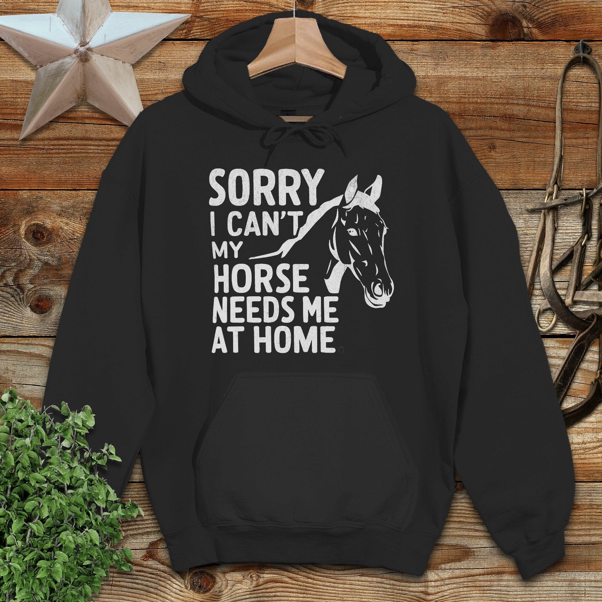 Sorry I Can't Hoodie