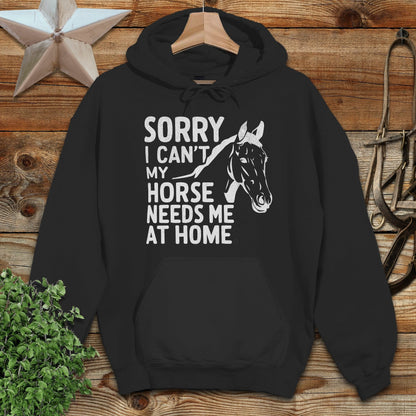 Sorry I Can't Hoodie