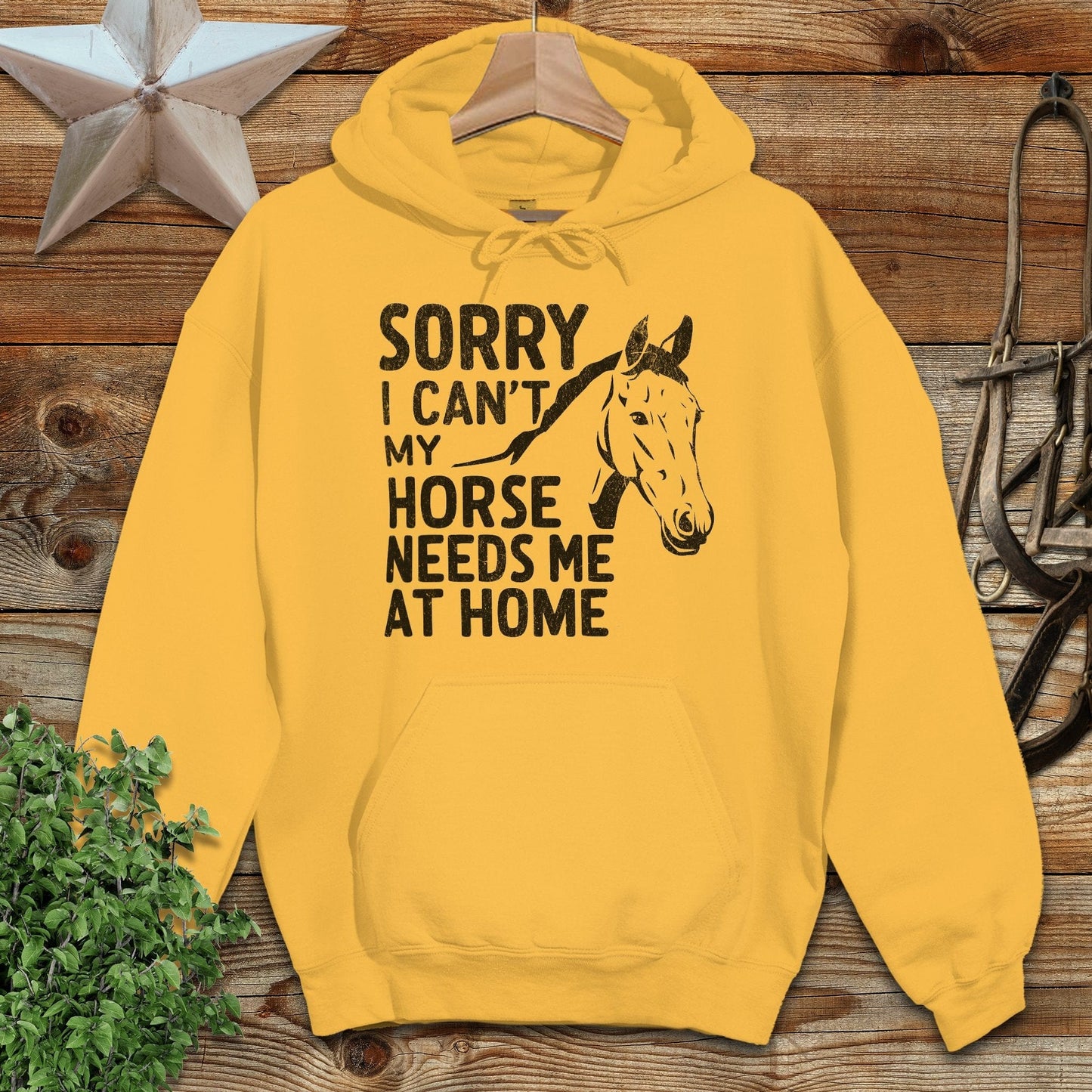Sorry I Can't Hoodie