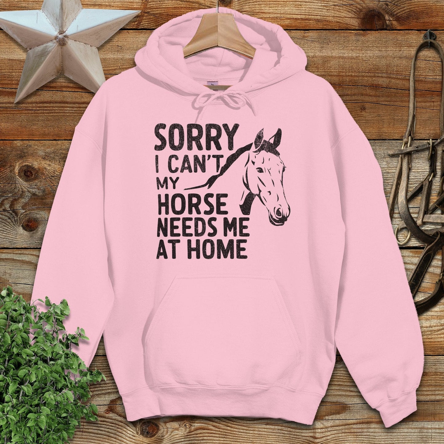 Sorry I Can't Hoodie
